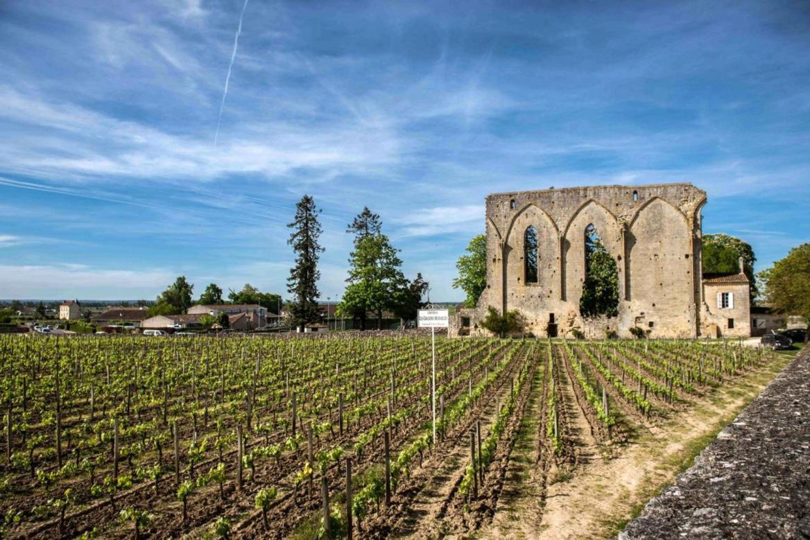 Maison Cosy Avec Vue Sur Les Vignes. Libourne Kültér fotó