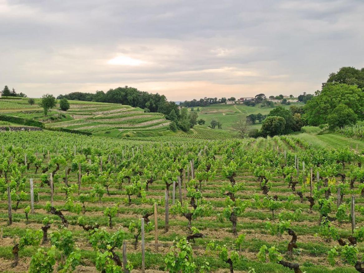 Maison Cosy Avec Vue Sur Les Vignes. Libourne Kültér fotó