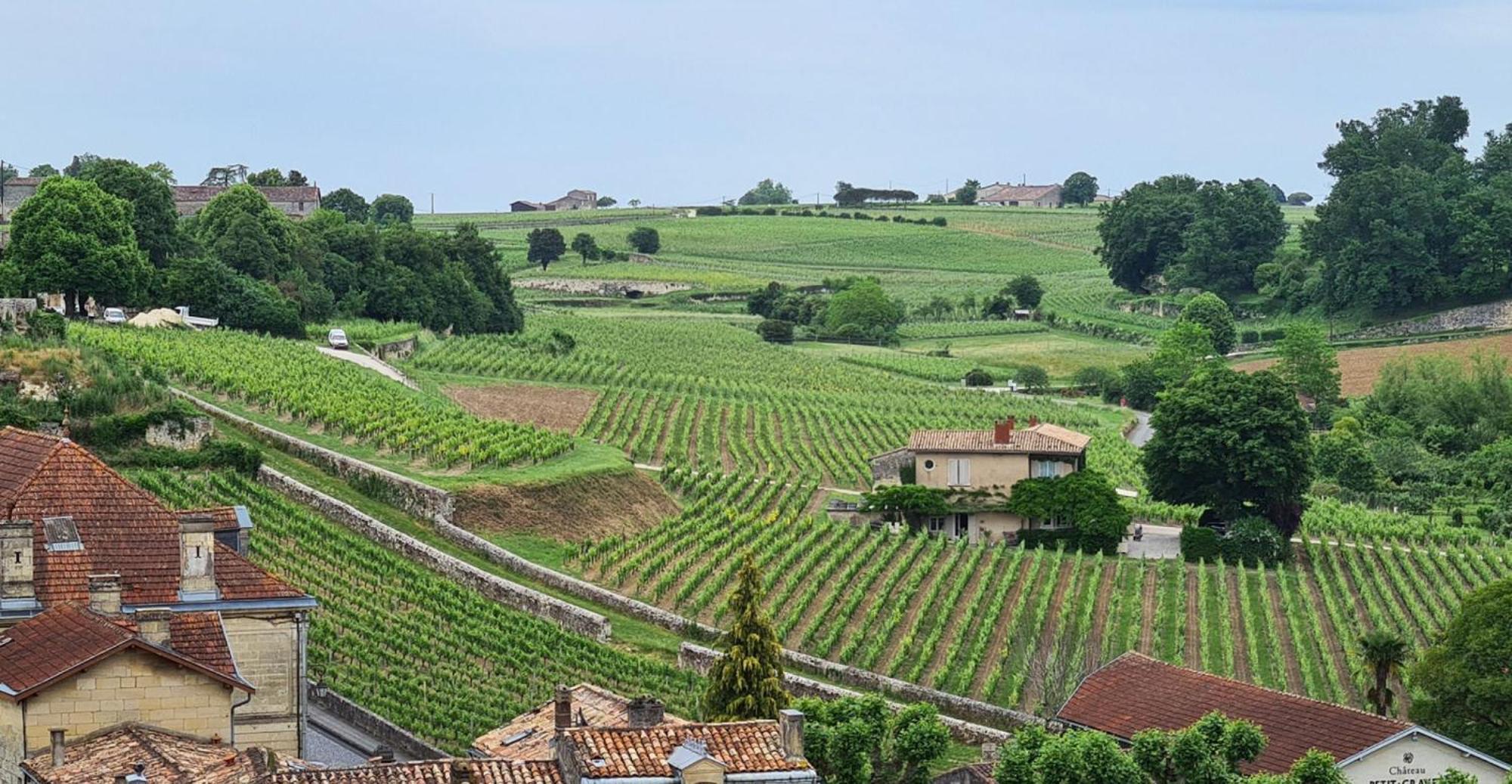 Maison Cosy Avec Vue Sur Les Vignes. Libourne Kültér fotó