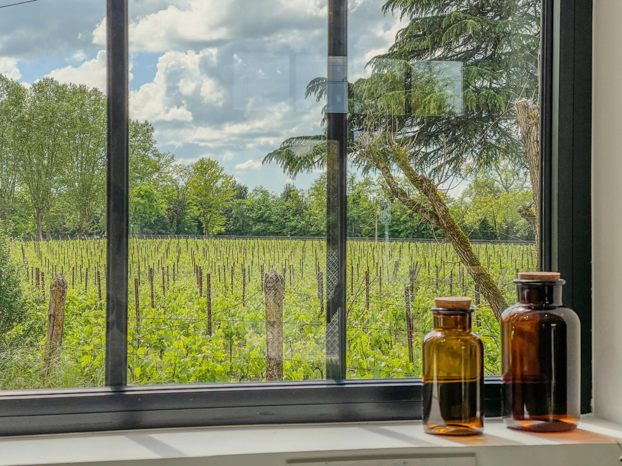 Maison Cosy Avec Vue Sur Les Vignes. Libourne Kültér fotó